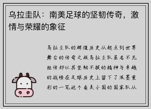 乌拉圭队：南美足球的坚韧传奇，激情与荣耀的象征